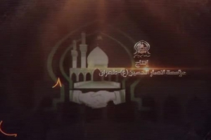 مؤسسة انصار الحسين (ع)