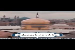 آخه من بچه دار نمیشم