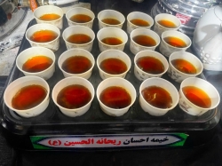 موکب ریحانه الحسین(ع) دیزج شیخ مرجان
