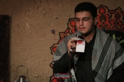 طاها پرنلو