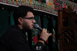 طاها پرنلو