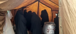 موکب پیاده روی جاماندگان اربعین 1446  هیئت انصار الحیدر زنجان