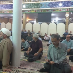 مراسم میلاد امام هادی (ع)