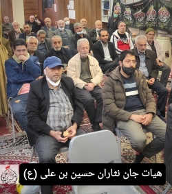 فاطمیه دوم