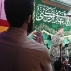 نیما شاه تقی