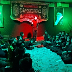 نیما شاه تقی