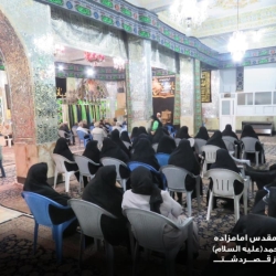 گزارش تصویری دهه سوم محرم آستان مقدس امامزاده سید محمد علیه السلام قصردشت شیراز