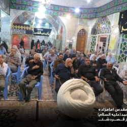 گزارش تصویری دهه سوم محرم آستان مقدس امامزاده سید محمد علیه السلام قصردشت شیراز