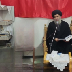 دکتر سید احمد رضا اخروی الحسنی هیئت محترم مکتب الهادی