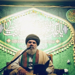 دکتر سید احمد رضا اخروی الحسنی