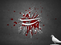 شهادت امام محمد تقی(ع)