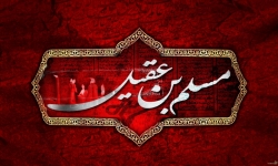شهادت مسلم ابن عقیل