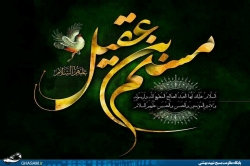 شهادت مسلم ابن عقیل