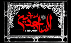 شهادت امام سجاد(ع)