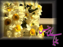 اللهم عجل لولیک الفرج