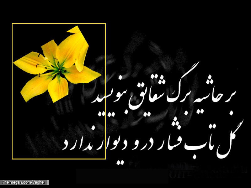 فاطمیه
