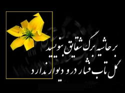 فاطمیه