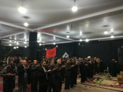 خانواده فاطمی