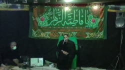 شیخ محمود استاد