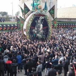 مراسم نخل برداری شهادت امام رضا