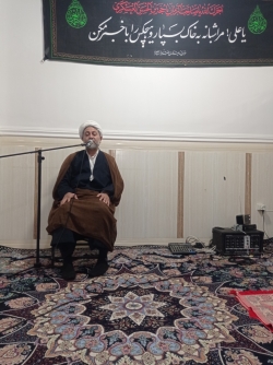 سخنرانی حجت السلام والمسلمین حجتیان دهه دوم فاطمیه ۱۴۰۳ مسجد جامع افضل روستای گورزانگ میناب
