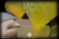 نذری ولادت حضرت زهرا سلام الله علیها