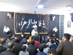 استاد شیخ محمد ناصری