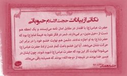 نکاتی از بیانات حجت الاسلام حبوباتی ( قسمت سوم ) |  سپاهی به فرماندهی عباس(ع)