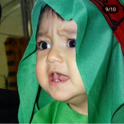 همایش جهانی شیرخوارگان حسینی