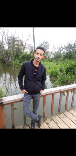 شمال