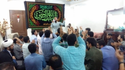 جشن ولادت حضرت معصومه (س)
