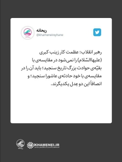 عظمت کار زینب کبری(س) در کلام رهبری