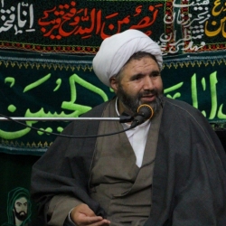 جشن میلاد حضرت مهدی (عج) - هیات کربلا رفسنجان