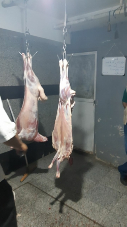 ذبح گوسغند خادمین فاطمی