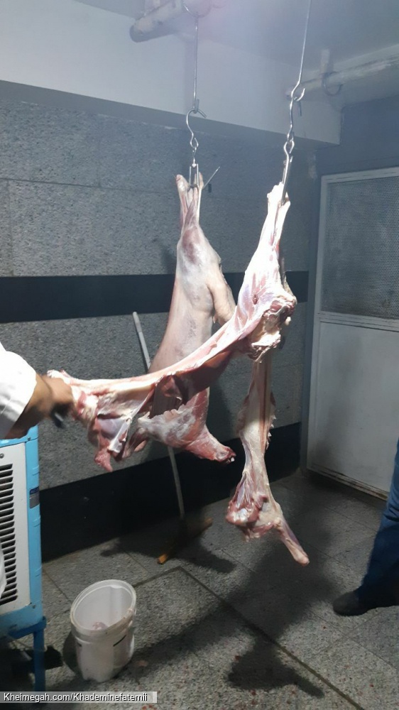 ذبح گوسغند خادمین فاطمی