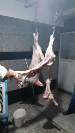 ذبح گوسغند خادمین فاطمی