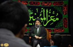 شهادت حضرت حمزه و عبدالعظیم حسنی علیهماالسلام