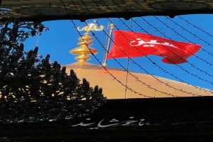 کربلایی امیرحسین محمدی