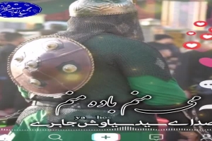 نماهنگ شیرمیدان سیدسیاوش جابری