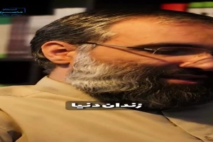 شهرت