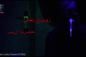 روضه ی طفلان حضرت زینب (س)