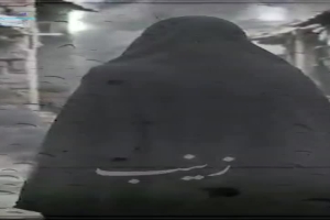 استوری ویژه شهادت حضرت زینب سلام الله علیها