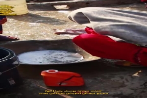 طرح معین الضعفا