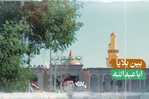 منو رها نکنیا - دانلود ویدئو کلیپ نماهنگ مداحی شور امام حسین (ع) استودیویی حاج حسین سیب سرخی
