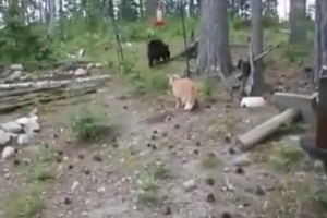 سلامسلامسلامسلامسلامسلامسلامسلامسلامسلام