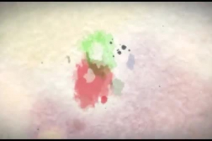 جشن بزرگ میلاد با سعادت حضرت زهرا سلام الله علیها