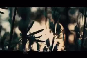 Track 5 Album Ta Nime Shaban 2020 Clip