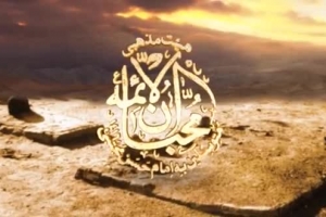 فاطمیه 95 - هیئت محبان الائمه مشهد - واحد - نگاهی کن زهرا