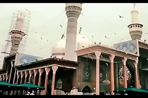 30 مرداد 96 - هیئت نور الرضا - تک - به جز تو ای کرم بخش کریمان