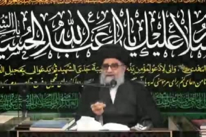 ضمانت خون سیدالشهداء(علیه السلام)